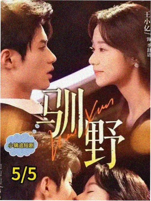 长夜将明 谍战剧海报